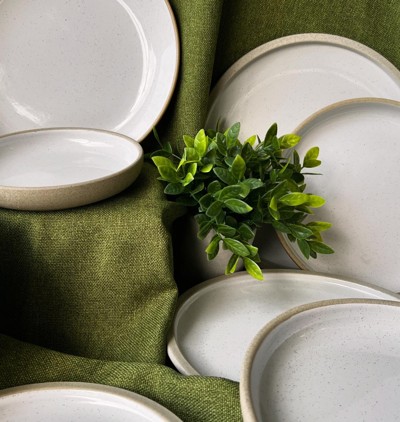 Hokkaido 10" Dinner Plate