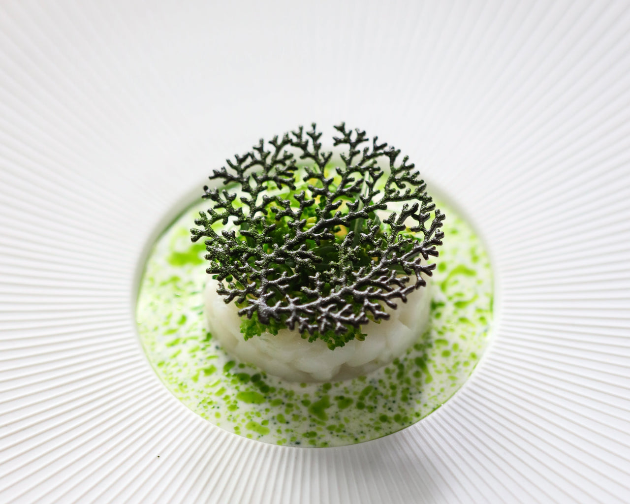 Coral Tuille Mold